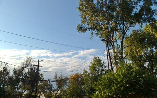 20092007368-garten.jpg