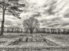 jvw_0659-61_hdr2-ausschnitt-pc-sw