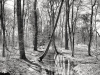 jvw_1336_hdr-bach-bearbeitet1