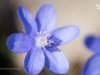 jvw_13591