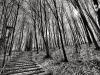 jvw_0475-77_hdr-bearbeitet