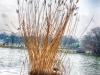 jvw_0532-34_hdr-bearbeitet