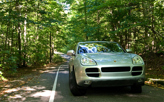 img_9156-cayenne-im-wald.jpg